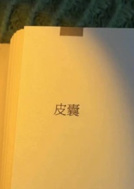 普宁车过户